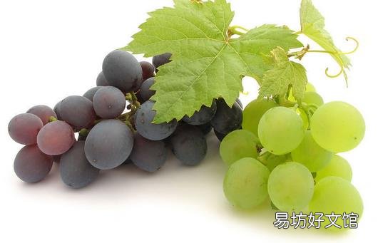 葡萄的食用功效盘点 如何挑选好的葡萄?