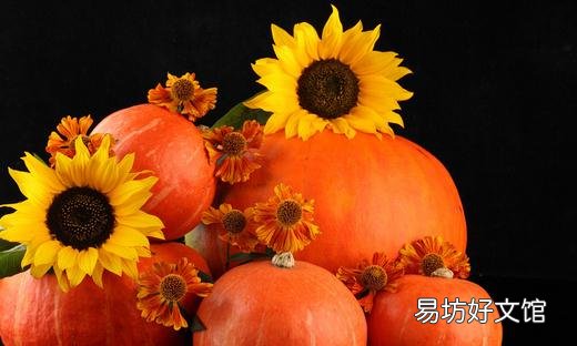 秋季吃南瓜的众多好处:护心助眠