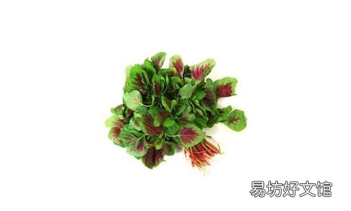 米苋菜是什么?米苋菜有什么功效?