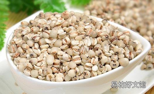 薏米的功效与挑选方法