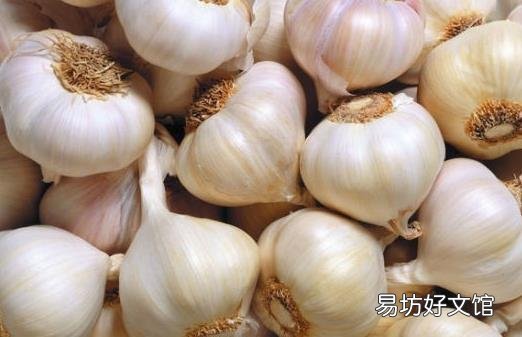 大蒜的七大营养价值 吃法不同功效不同