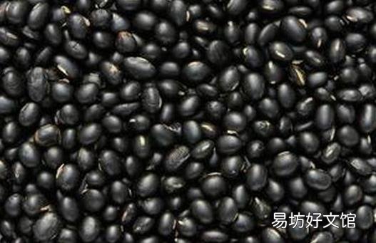 黑豆的功效与作用及食用方法