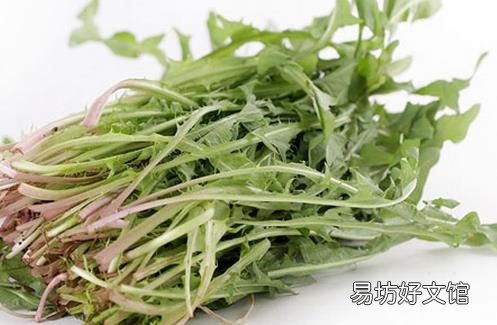 五种野菜不为人知的防病功效