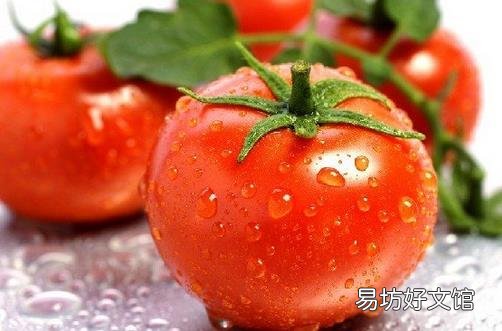 食用番茄有什么禁忌?吃番茄的注意事项