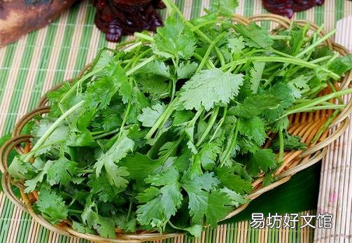 香菜不能和什么一起吃?香菜的饮食禁忌