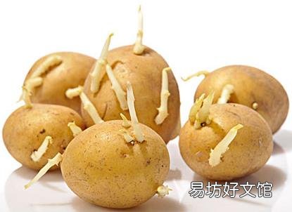 土豆长芽能吃吗?吃土豆的食用禁忌