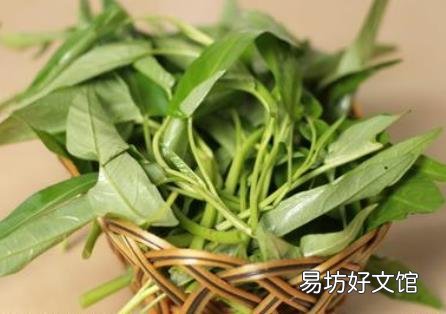 如何挑选空心菜?吃空心菜的食用禁忌