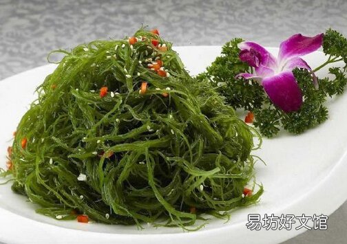 海带的饮食禁忌-如何挑选海带