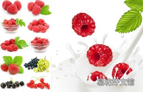 益生菌怎么吃?益生菌的用法