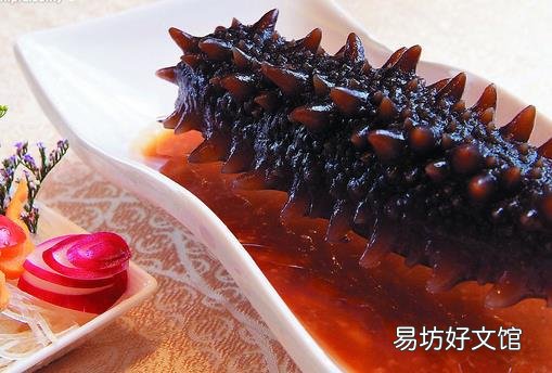 海参怎么吃最有营养?海参食用方法与禁忌