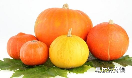 南瓜的营养价值高 但不能与6种食物同吃
