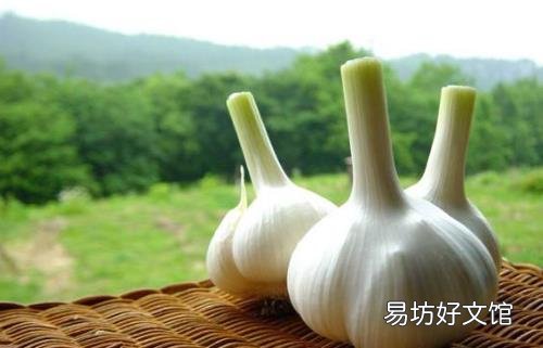 哪种颜色的蒜头最有营养?