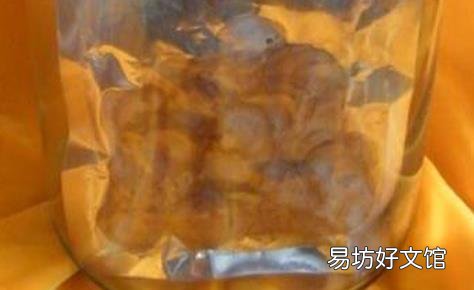 鹿茸泡酒的禁忌