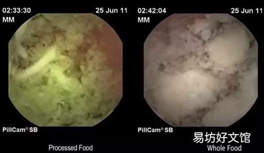方便面32小时不消化?方便面谣言,各个击破