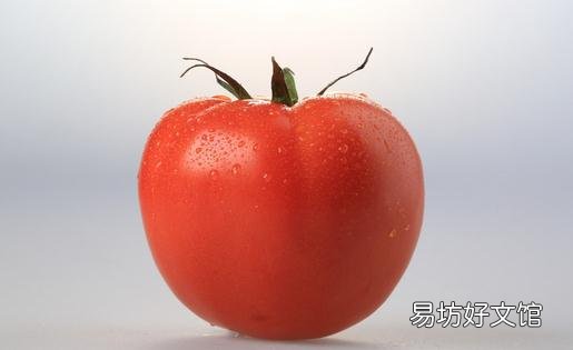 番茄好吃营养 不宜吃的情况