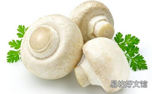 揭秘饮食的5个谣言:脂肪有害健康?
