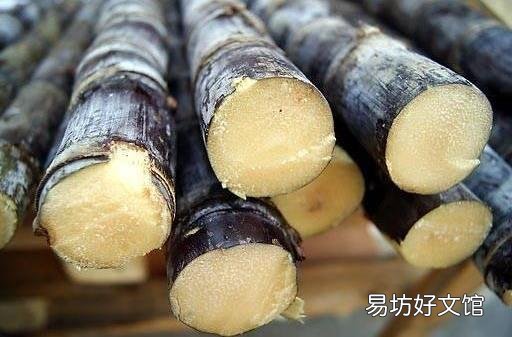 霉变甘蔗危害健康