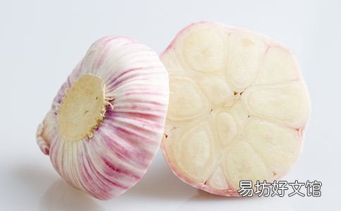 常见廉价的护肾食物