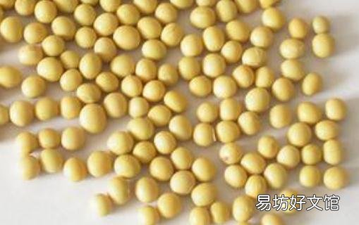 大脑需要什么营养素?吃什么能补脑?