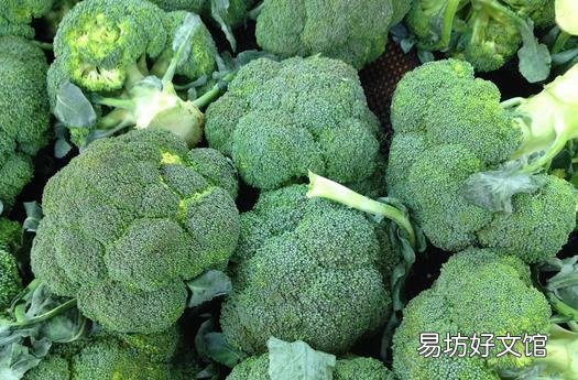 眼睛需要补充哪些营养素?吃什么对眼睛好?