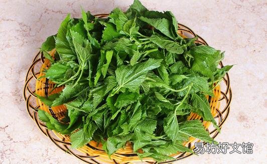 桑葚是宝 桑葚怎么吃最好?