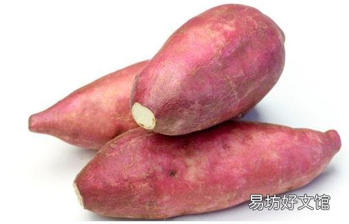 滚蛋吧肿瘤君 盘点抗癌食物