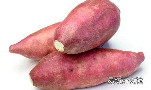 女人预防卵巢早衰 多吃七种美味食物