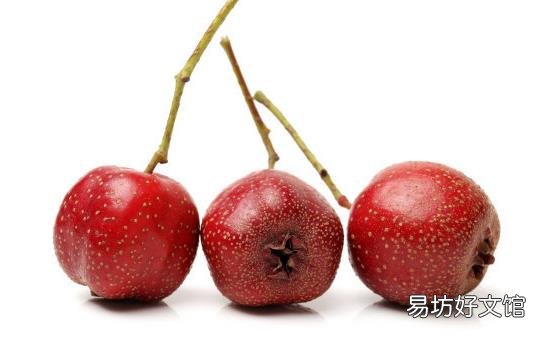 泡脚温暖解乏 泡脚减肥可以加的8种中药