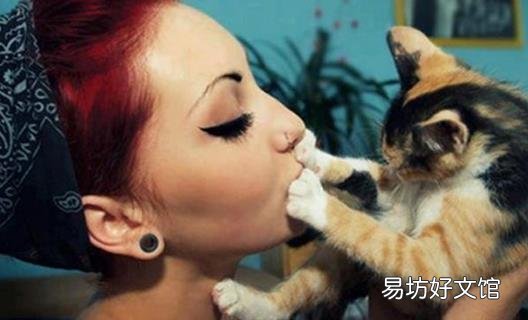 小偏方帮你去除尴尬的口臭