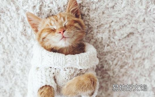 如何解决拖延症?
