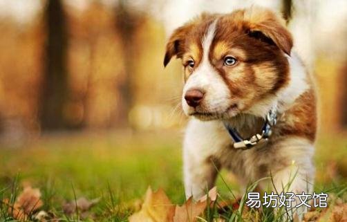 克服紧张性脸红的方法