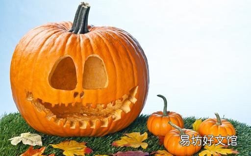 吃南瓜的5个问答你要看看么?