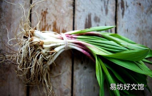 如何吃葱营养最佳?