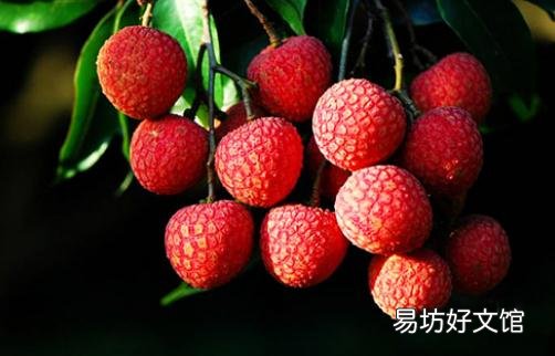 吃荔枝易上火 哪些人适合吃荔枝?