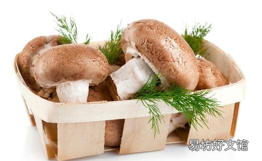 香菇可以帮助排便护理肠道哦