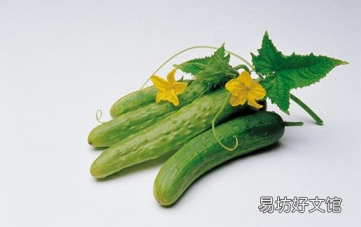 黄瓜不能和什么食物搭配吃?