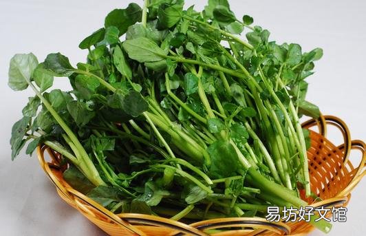 吃西洋菜可以预防癌症你知道么