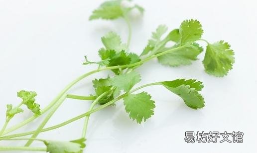 香菜容易加重引发气虚感冒
