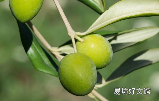 缓解晕车的八个小偏方 让你更好的享受旅途