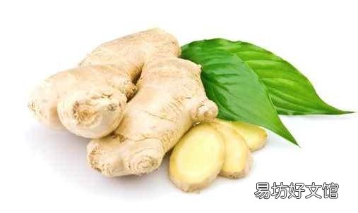 没有食欲?生姜来帮你