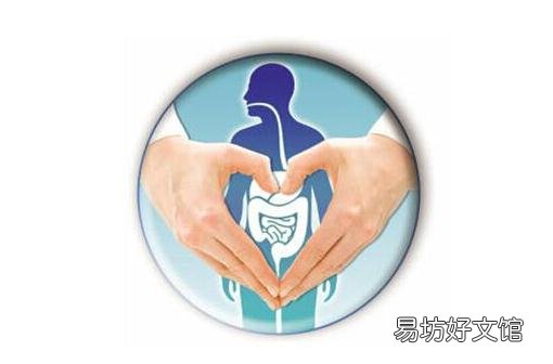 肠道最喜欢这四种食物