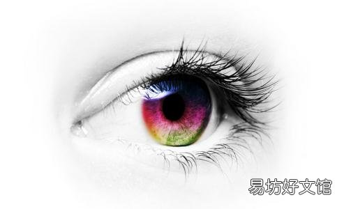 吃什么能够保护眼睛？