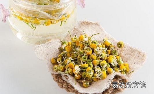 洋甘菊能改善感冒和睡眠