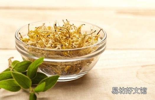 用金银花泡水喝有什么好处