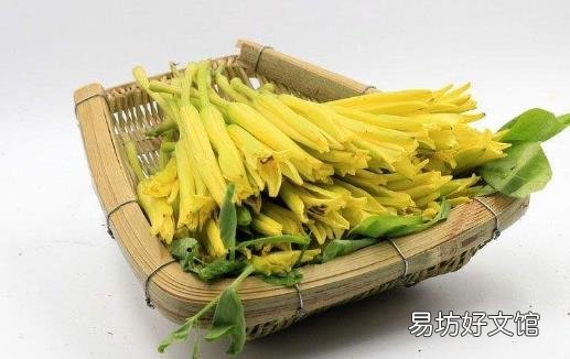 食以载道的黄花菜安神除烦护肤美颜 黄花菜药膳方