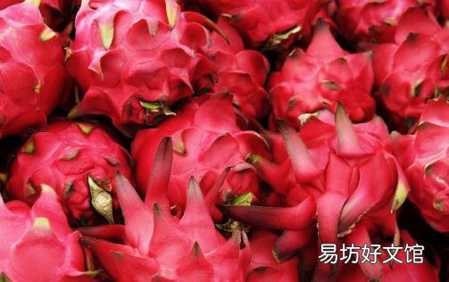 千万别把火红龙果皮丢掉 养颜美容是再好不过啦