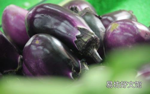 经常吃茄子益处多多预防高血压动脉硬化提高抵抗力