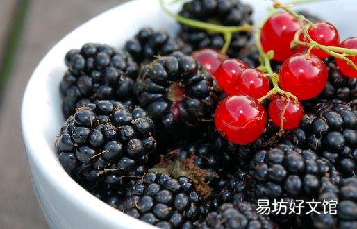 鳄梨和黑莓健康大PK 五大健康益处养生又保健