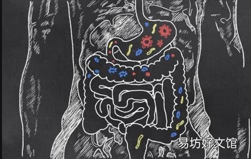 益生菌有益肠道健康 服用抗生素后服用效果棒棒