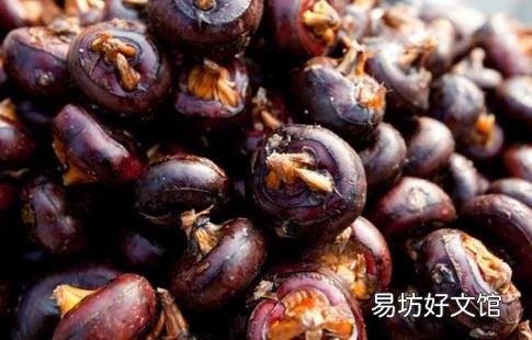 荸荠的营养价值盘点 凉血解毒辅助糖尿病治疗